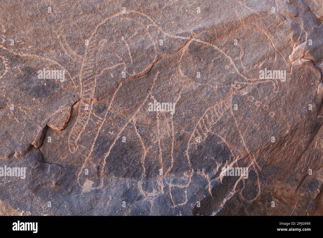 Antica incisione di roccia nel deserto del Sahara, Tadrart, Algeria Foto Stock