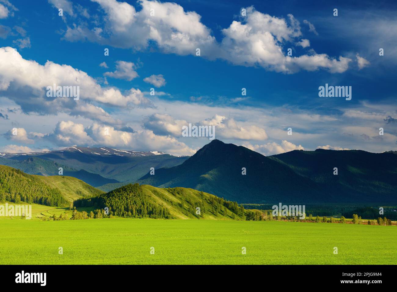 Paesaggio montano con campo verde e cielo nuvoloso Foto Stock