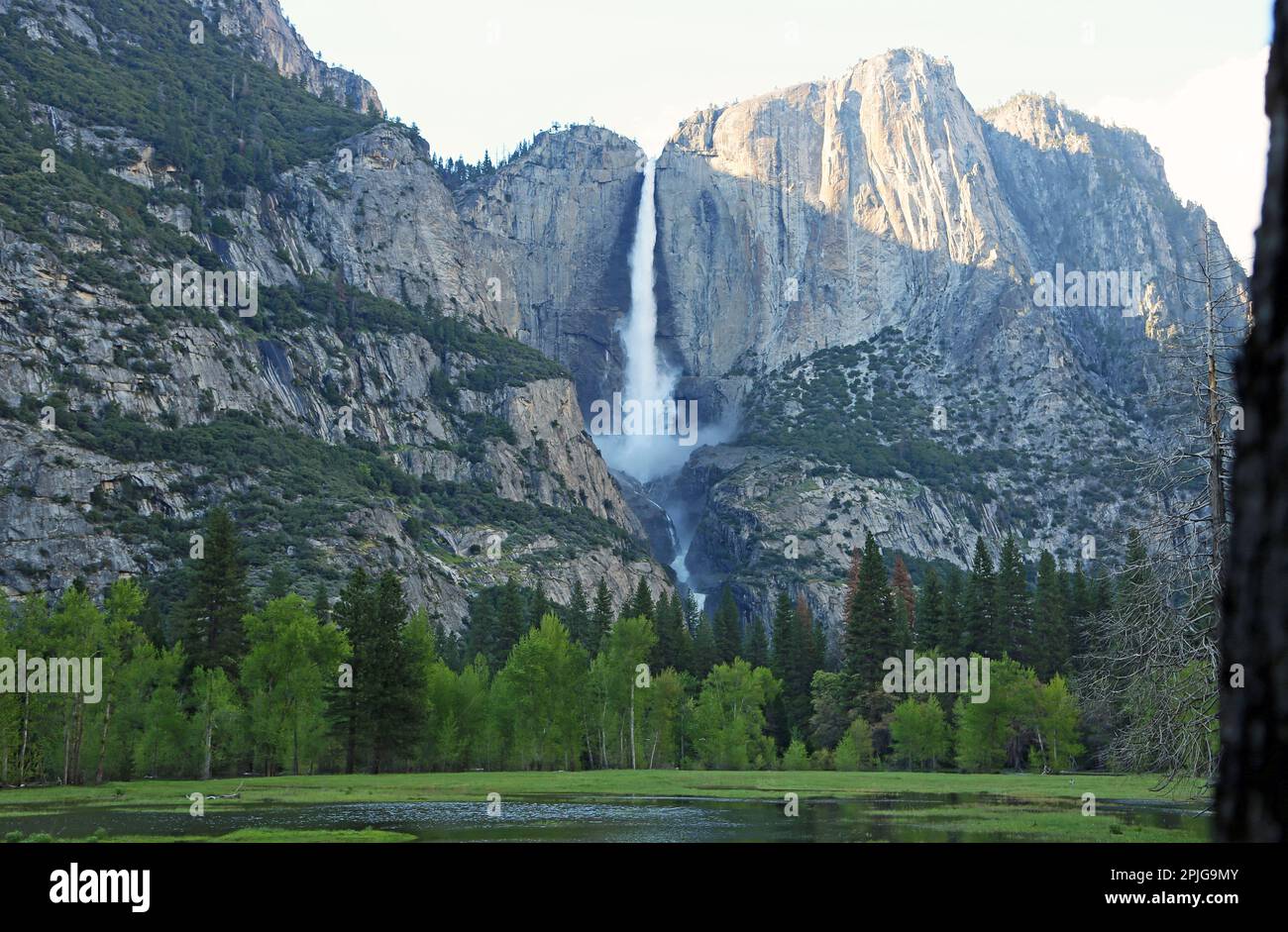 Vista alle cascate di Yosemite - Parco Nazionale di Yosemite, California Foto Stock