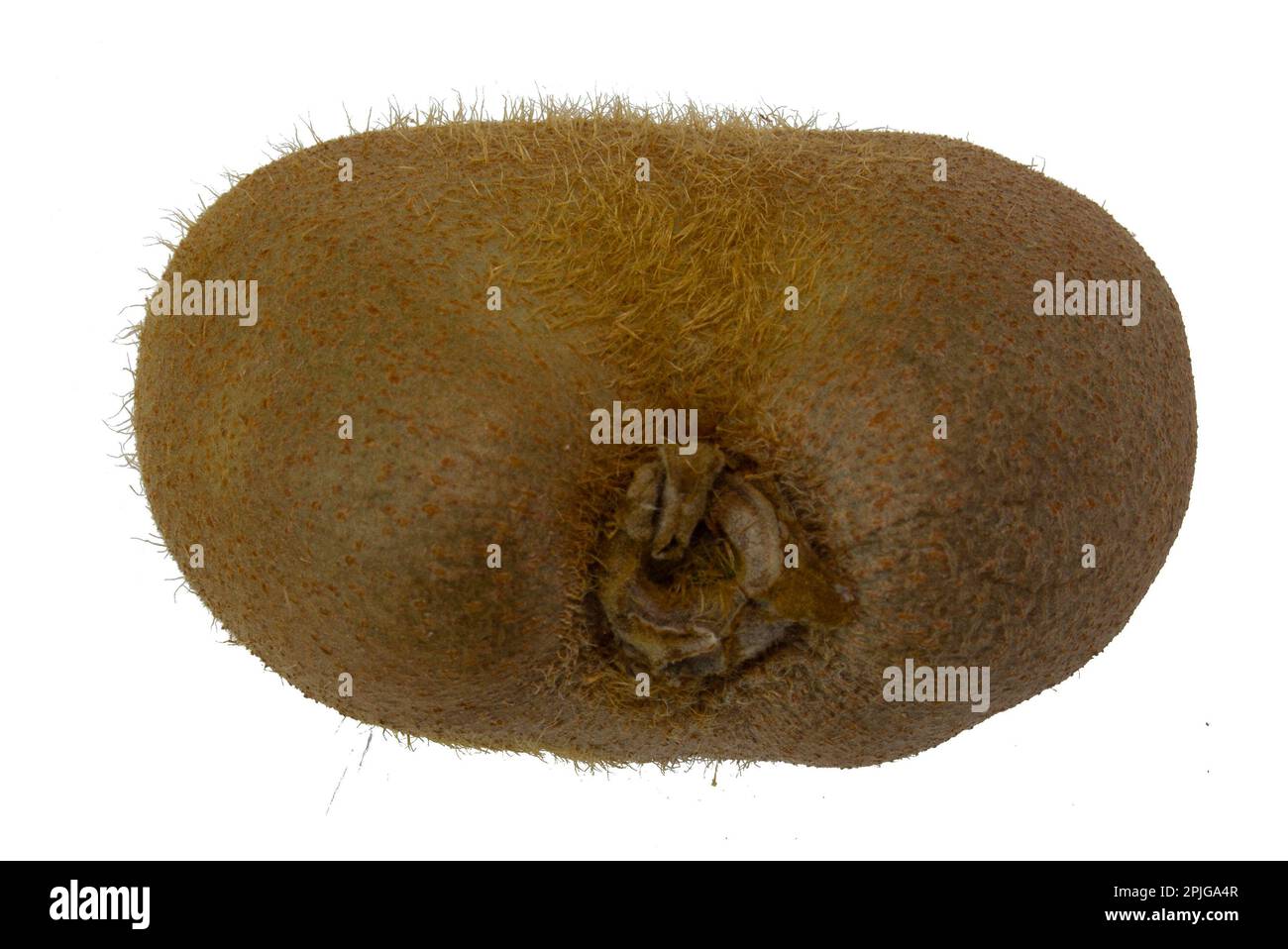Percorso di ritaglio kiwi. Frutto maturo isolato su fondo bianco con percorso di taglio Foto Stock