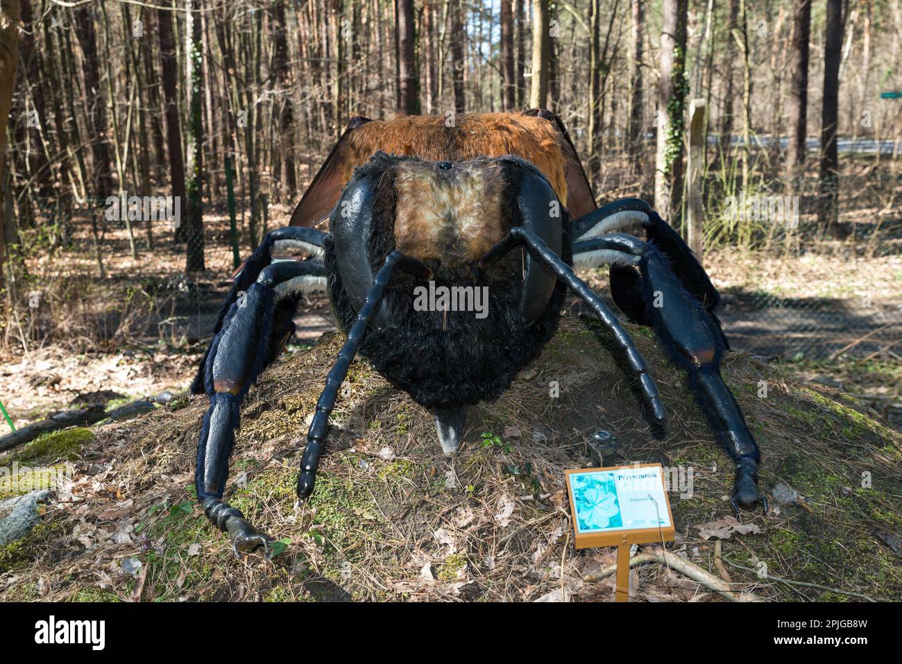 Scultura gigante di api da carda comuni, Sękocin Stary, Gmina Raszyn, nella contea di Pruszków, voivodato Masoviano, Nella Polonia centro-orientale Foto Stock