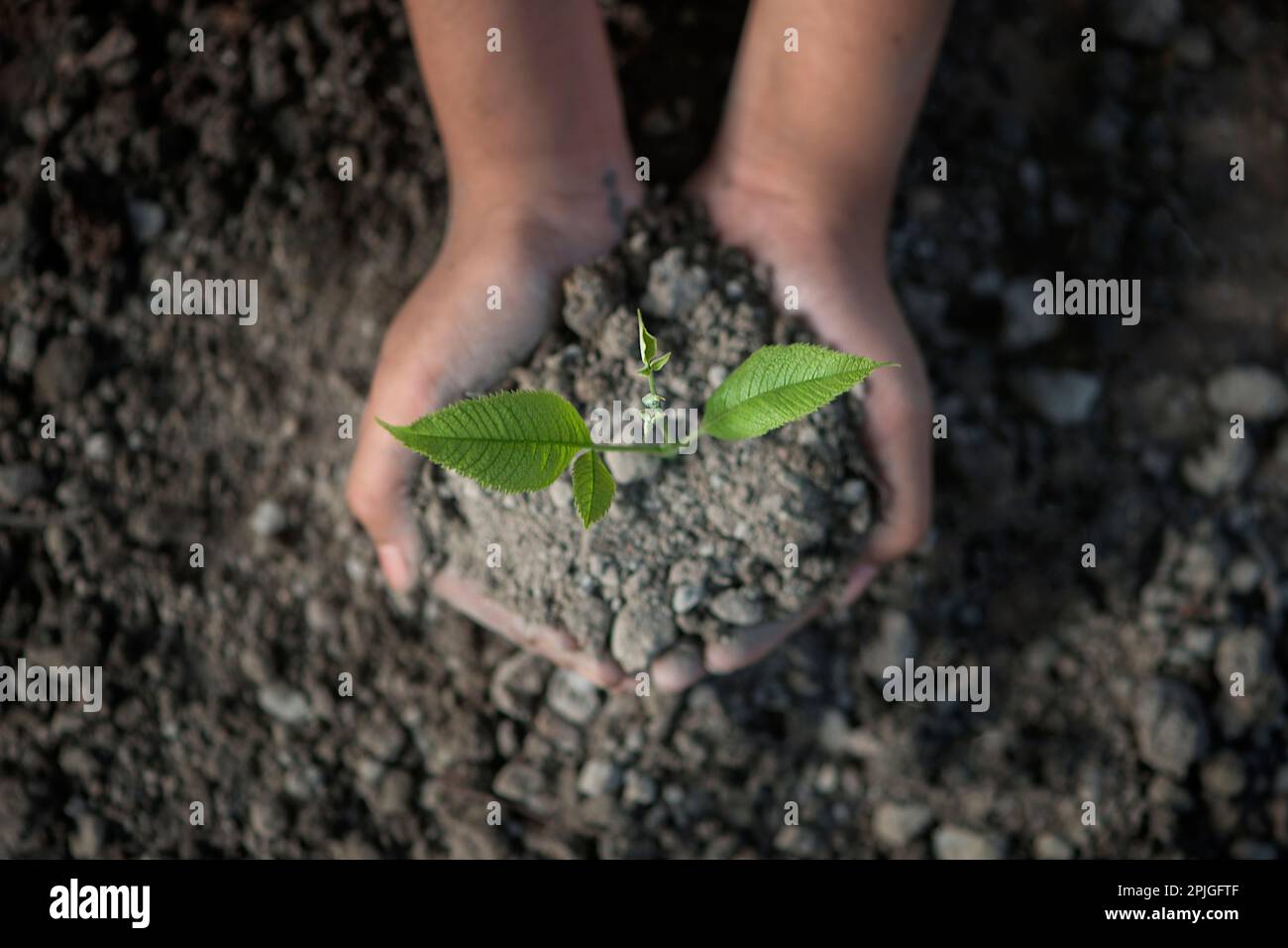 Riscaldamento globale Foto Stock