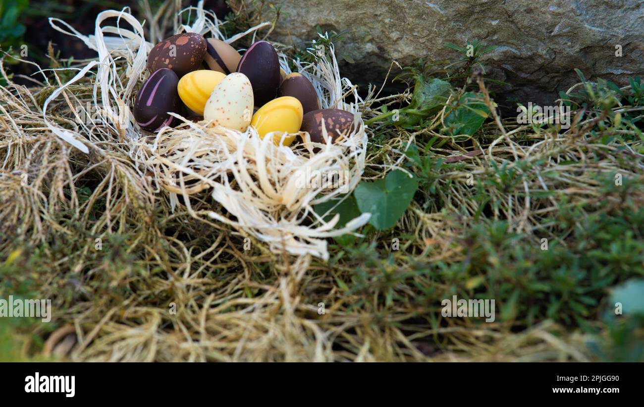 Uova di cioccolato pasquale nel nido nascosto nel giardino. Diversi colori della vista laterale cioccolato. Foto Stock