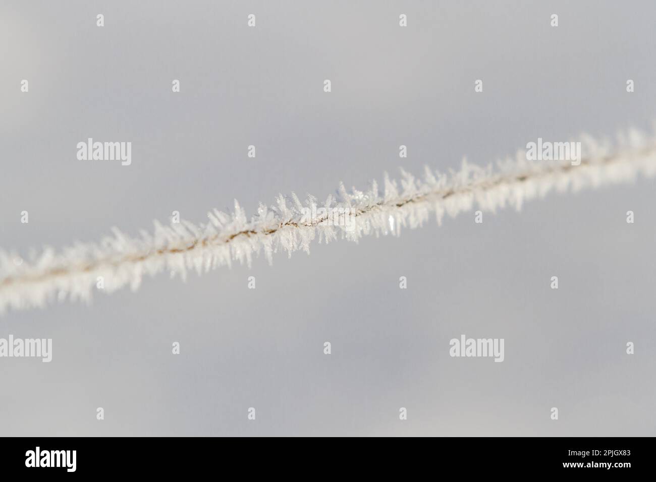 Il gelo dei cristalli di ghiaccio Foto Stock
