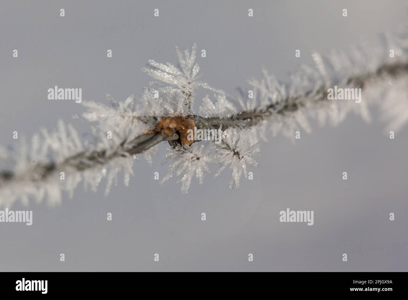 Il gelo dei cristalli di ghiaccio Foto Stock