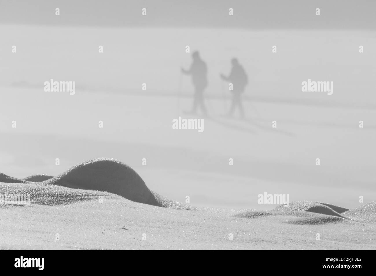 Paesaggio ghiacciato Oderteich Foto Stock