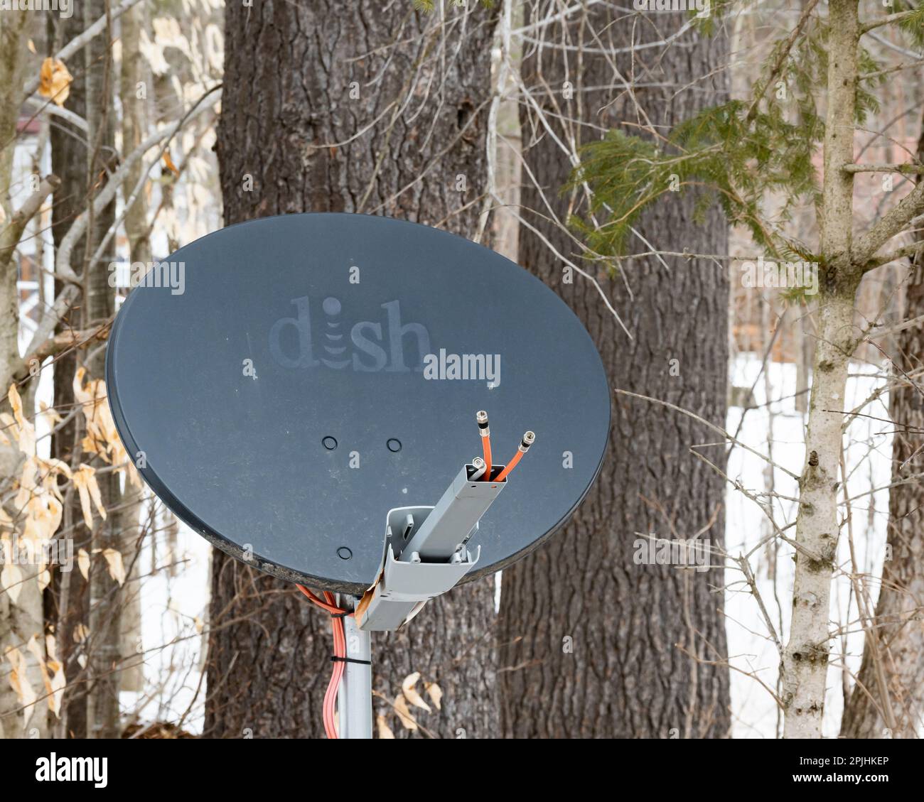 Un ricevitore di antenna satellitare grigio disconnesso negli alberi in Speculator, NY Foto Stock