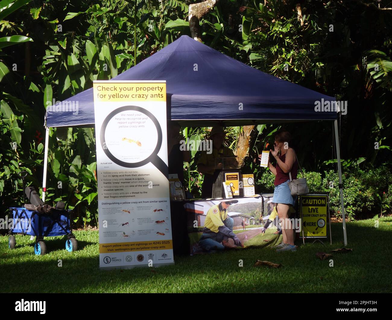 Stand informativo della comunità sull'invasivo giallo pazzo ANT in the Wet Tropics, Cairns, Queensland, Australia. No MR o PR Foto Stock
