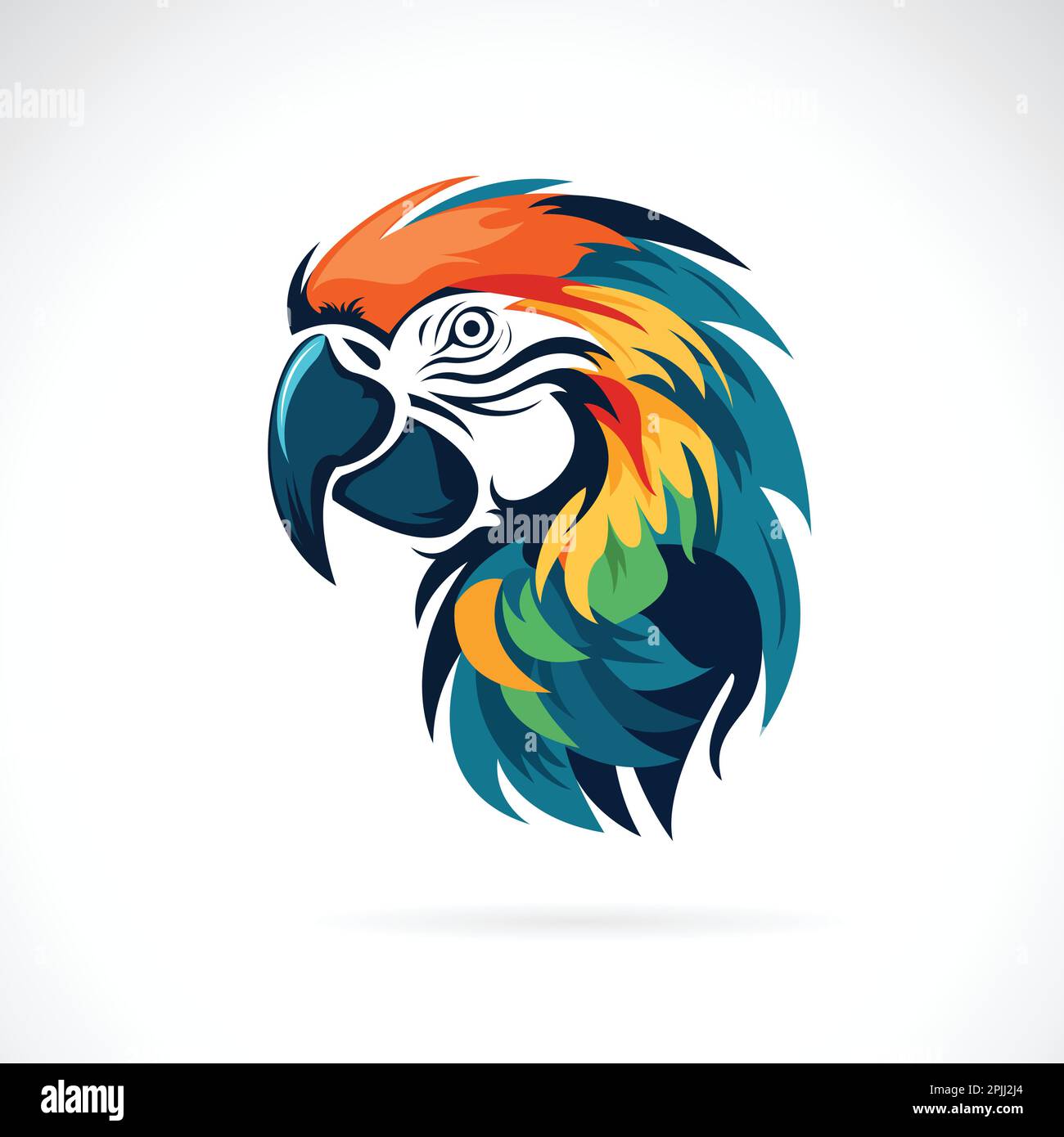 Vettore di una testa di uccello macaw su sfondo bianco. Animali selvatici. Illustrazione Vettoriale