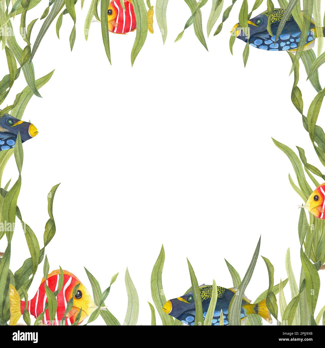 Carta acquerello per compleanni dei bambini isolata su sfondo bianco. Illustrazione dipinta a mano per biglietti d'auguri, poster, sfondo, cartolina Foto Stock