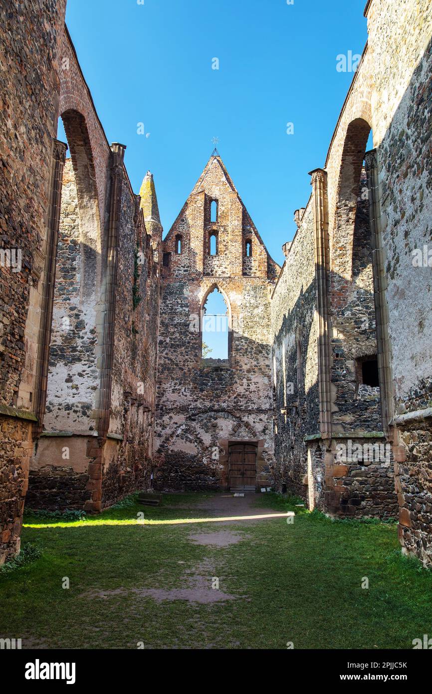 Rosa coeli, rovine della chiesa e del monastero, Dolni Kounice vicino alla città di Ivancice, Moravia meridionale, Repubblica Ceca Foto Stock