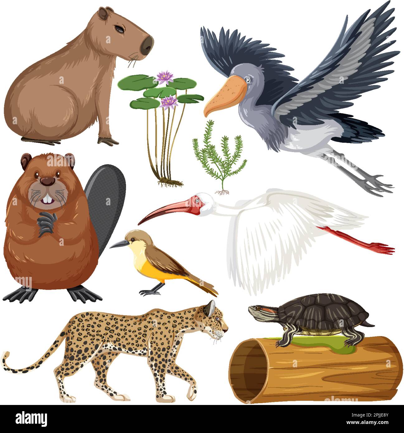 Illustrazione della collezione di animali di varie paludi Illustrazione Vettoriale
