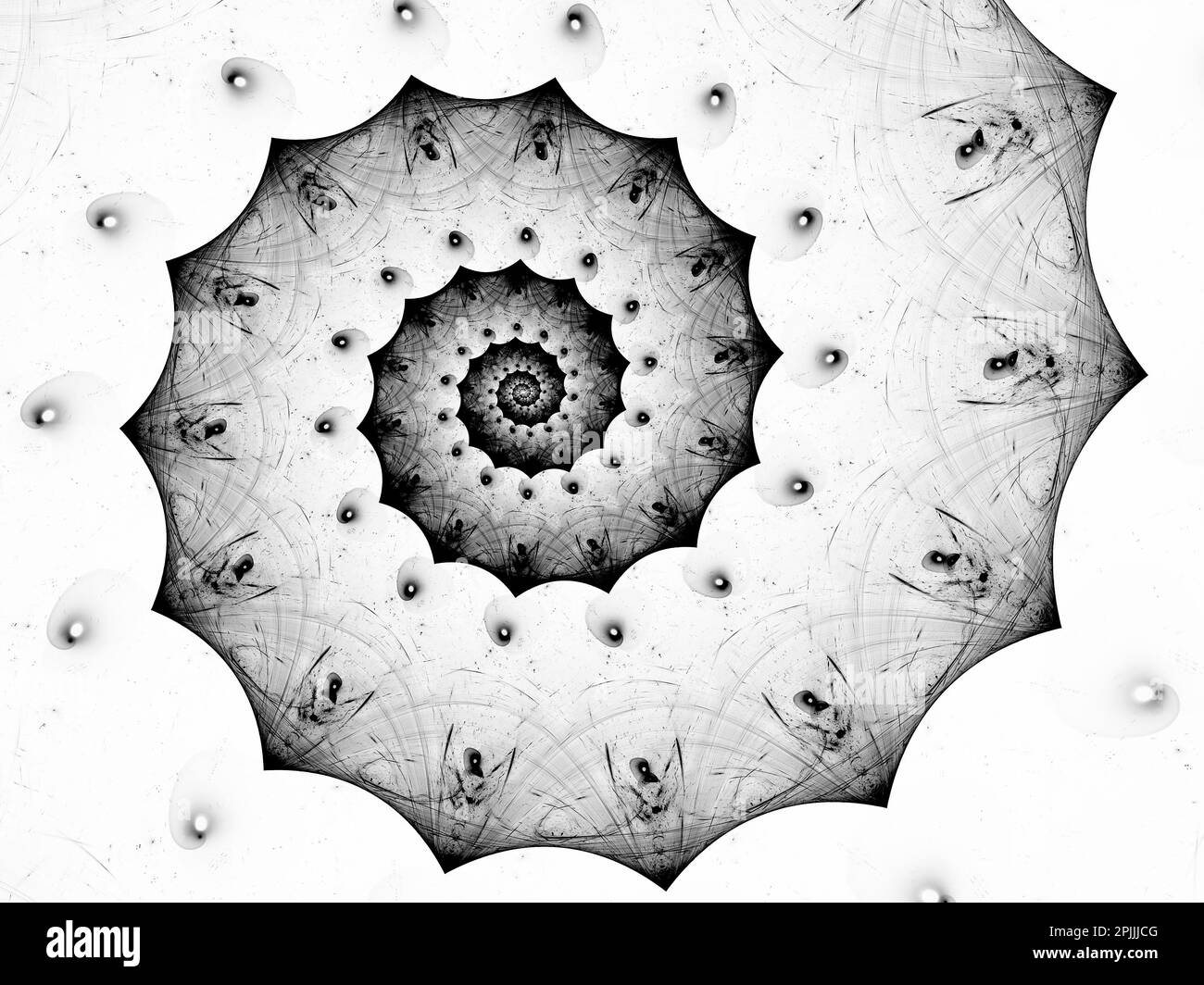 Design a spirale in Ammonite bianco e nero Foto Stock