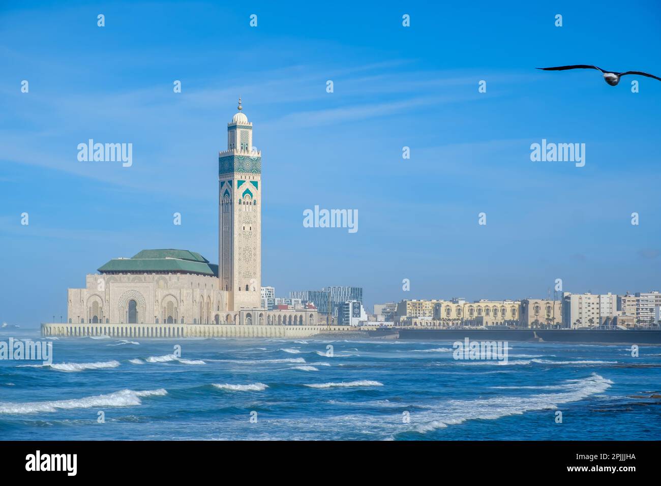 Vista della bellissima moschea Hassan 2 e di un gabbiano che vola a Casablanca, Marocco Foto Stock