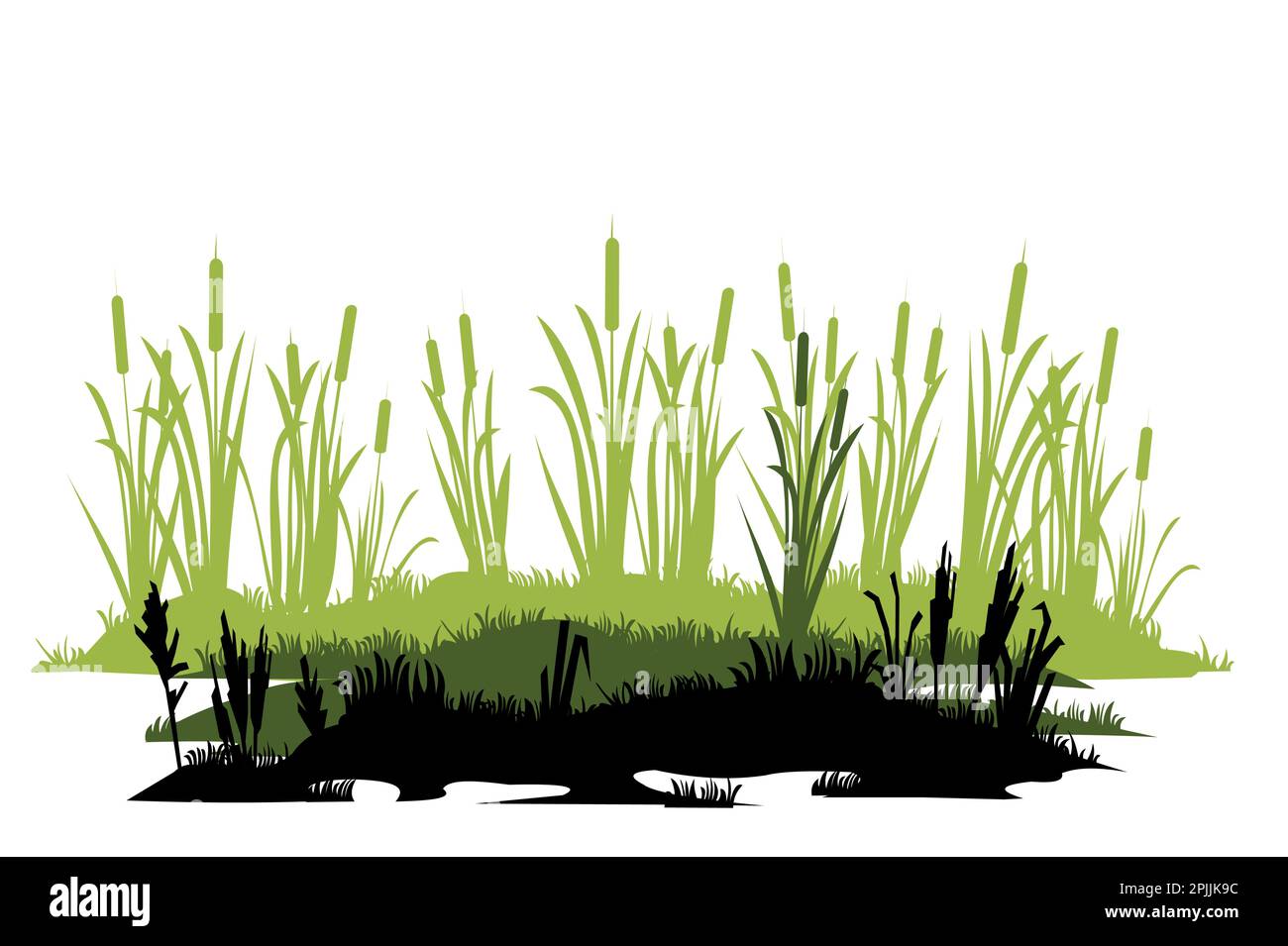 Costa paludosa. Ispessimenti di canne. Paesaggio paludoso. Vista sulla riva del fiume. Immagine della silhouette. Isolato su sfondo bianco. Vettore. Illustrazione Vettoriale