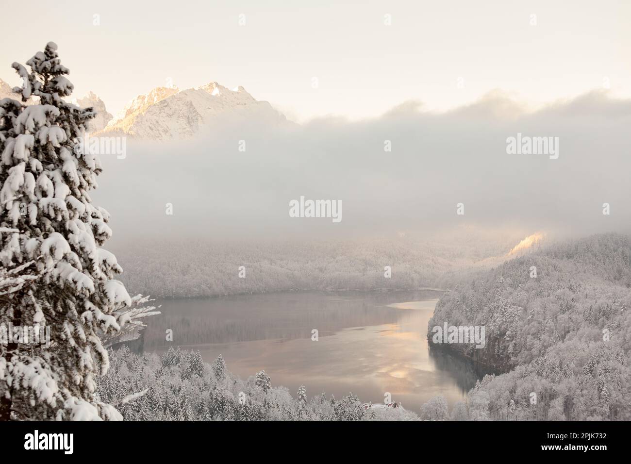 Paesaggio innevato del lago Alpsee, montagna con alberi. Foto Stock