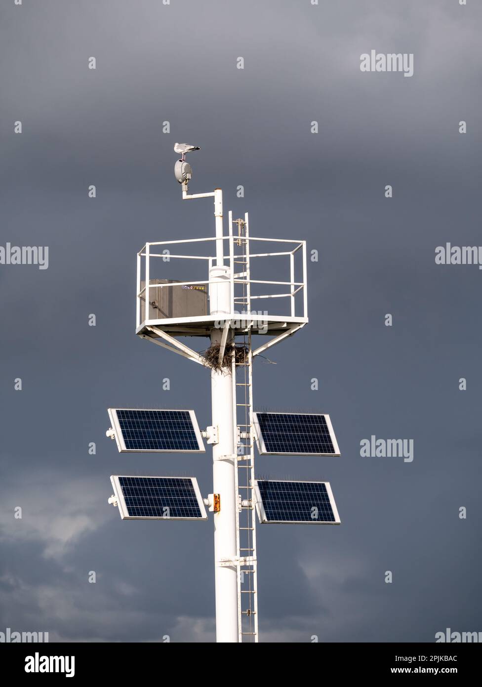 Albero di navigazione luce principale con pannelli solari, gabbiano aringa e nido di uccelli contro il cielo scuro, porto di Scheveningen, l'Aia, Paesi Bassi Foto Stock
