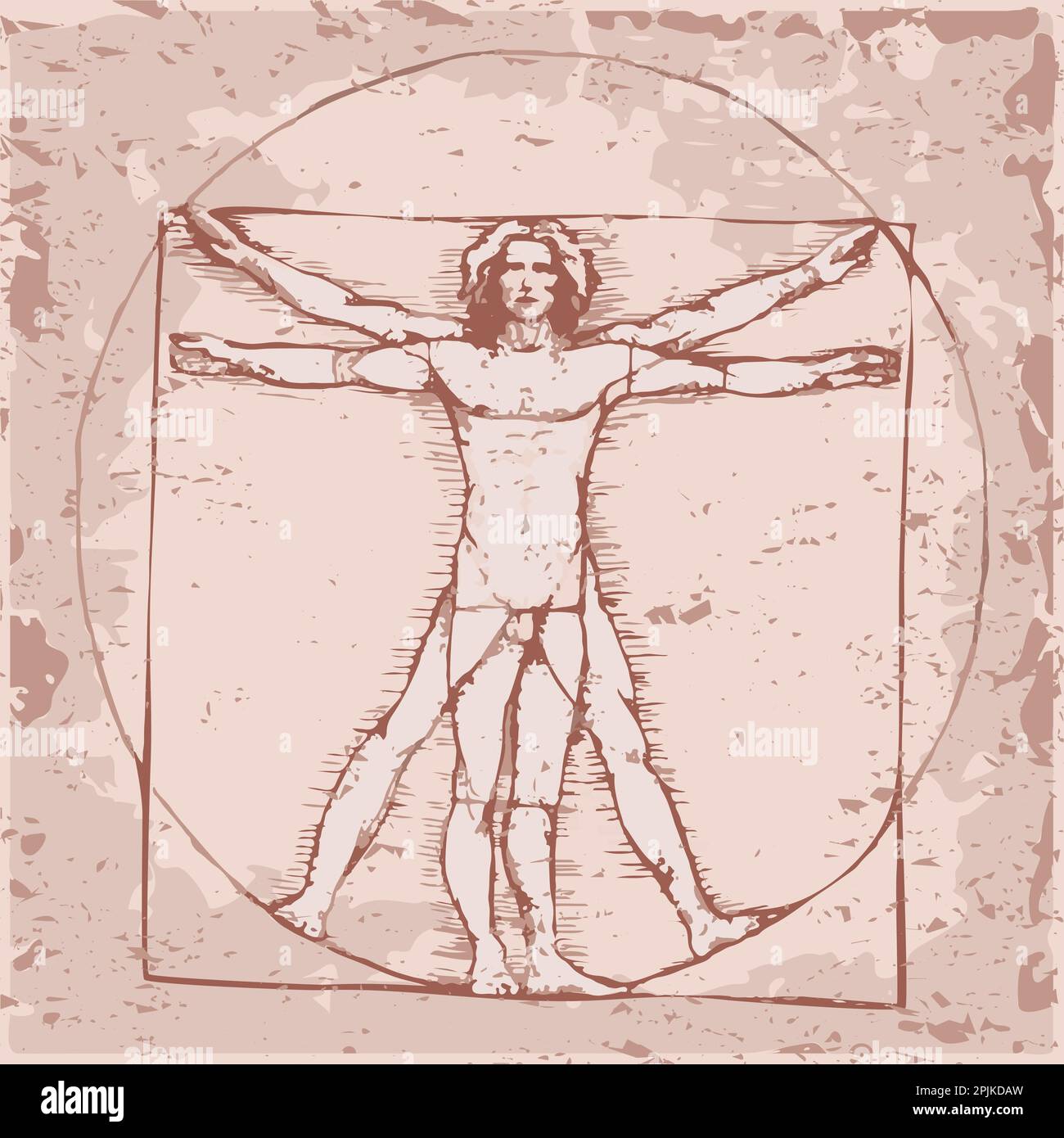 Vinci, icona Vetruvian Man, anatomia vettoriale del corpo umano Illustrazione Vettoriale