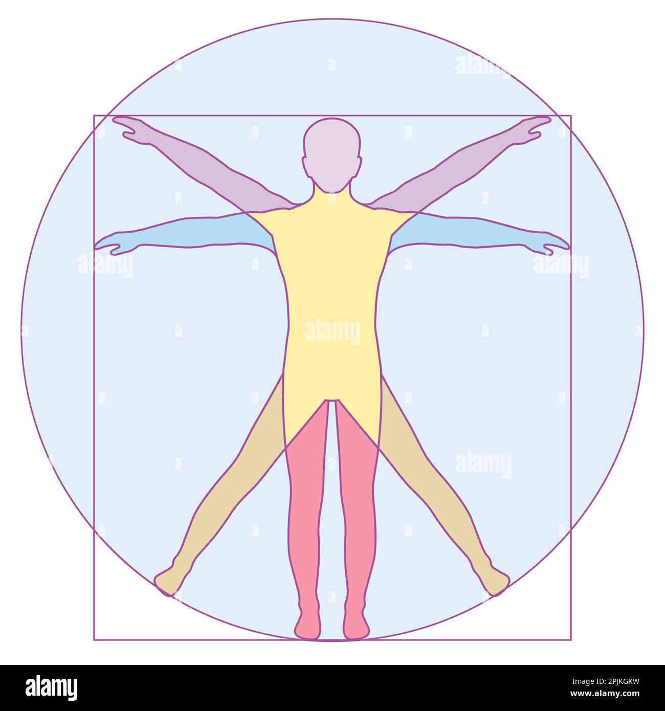 Vinci, icona Vetruvian Man, anatomia vettoriale del corpo umano Illustrazione Vettoriale