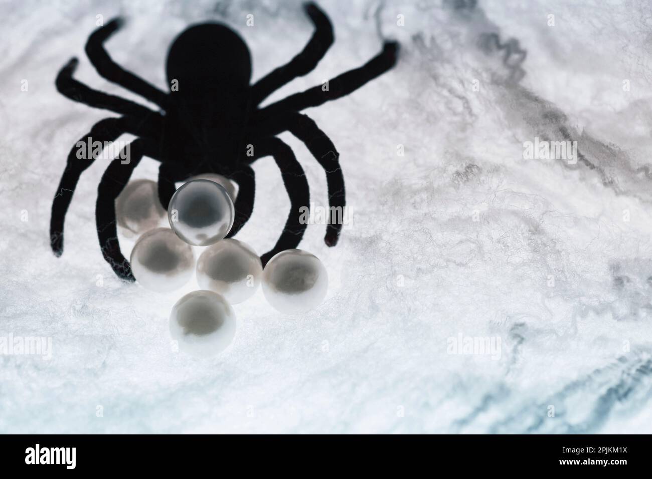 Ragno sul web Foto Stock