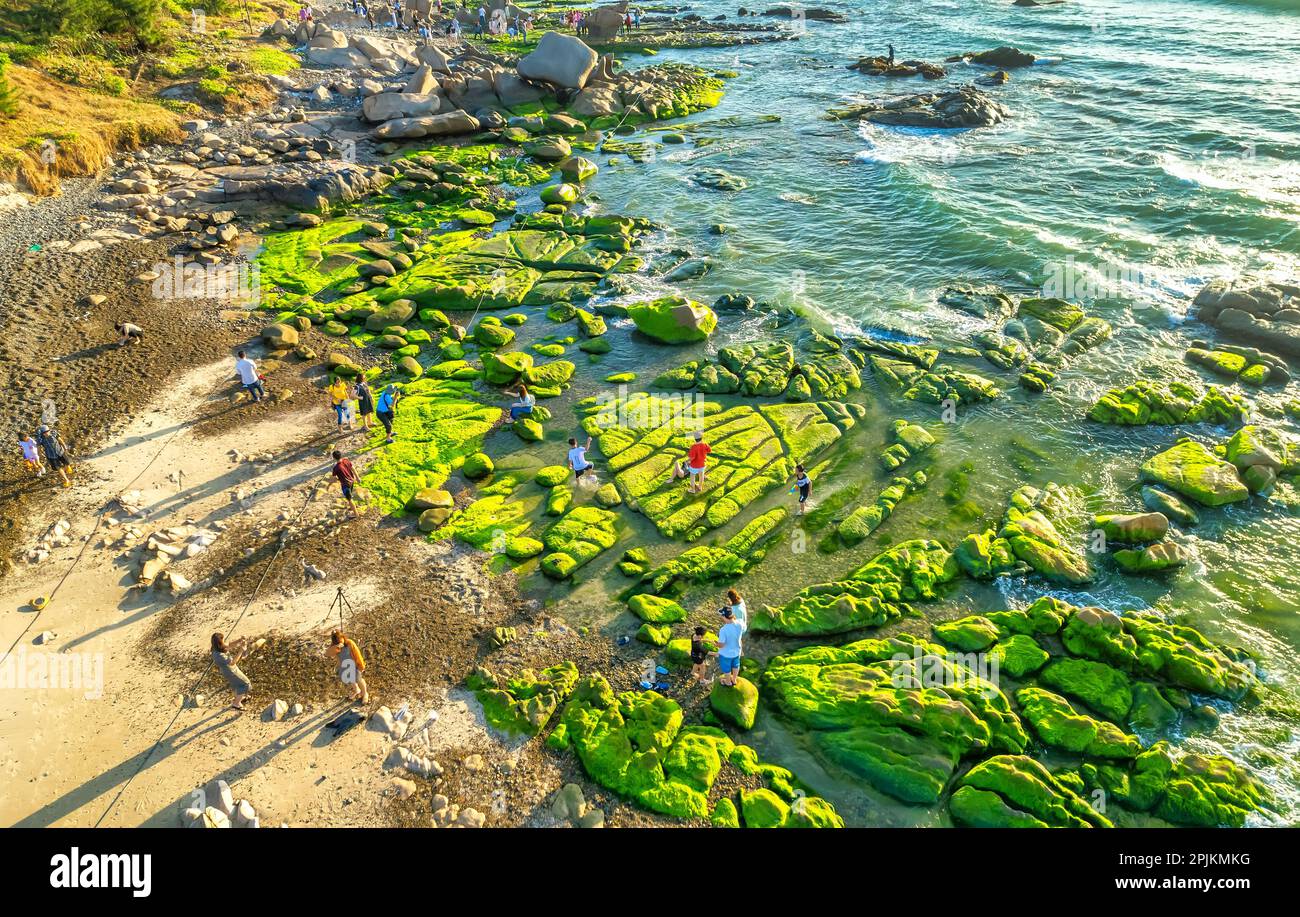 Incredibile di roccia e muschio alla spiaggia di Co Thach, Tuy Phong, provincia di Binh Thuan, Vietnam, Seascape del Vietnam rocce strane. Foto Stock