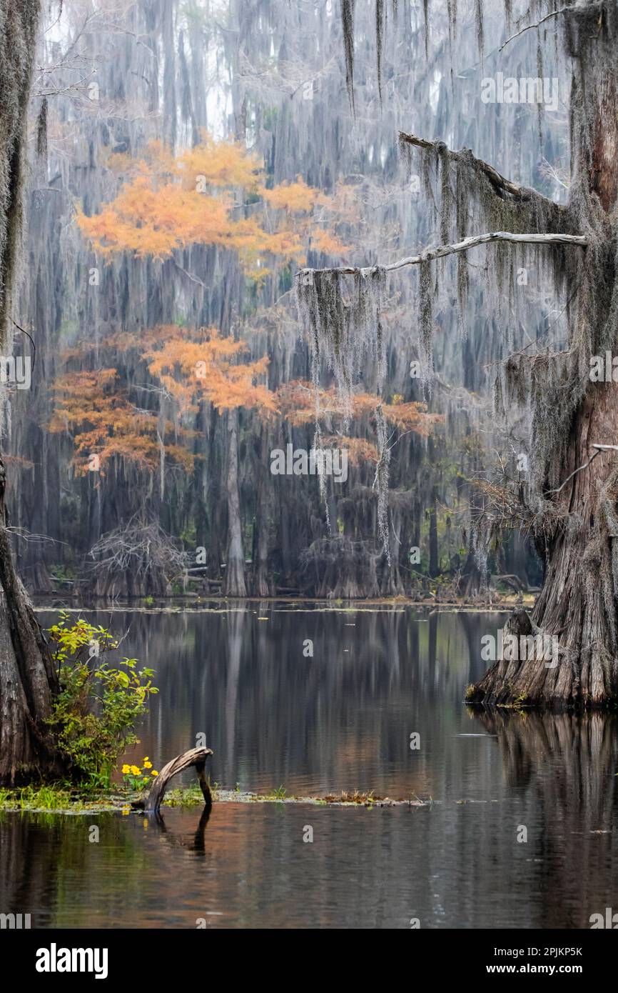 Lago Caddo, Texas Foto Stock