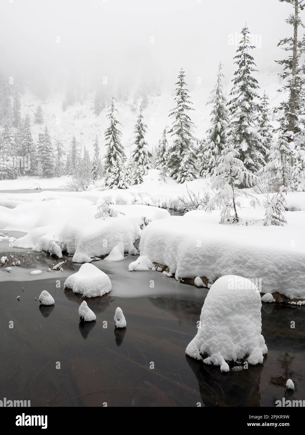 Washington state, Cascades centrale. Scenario invernale sul lago Granite Foto Stock