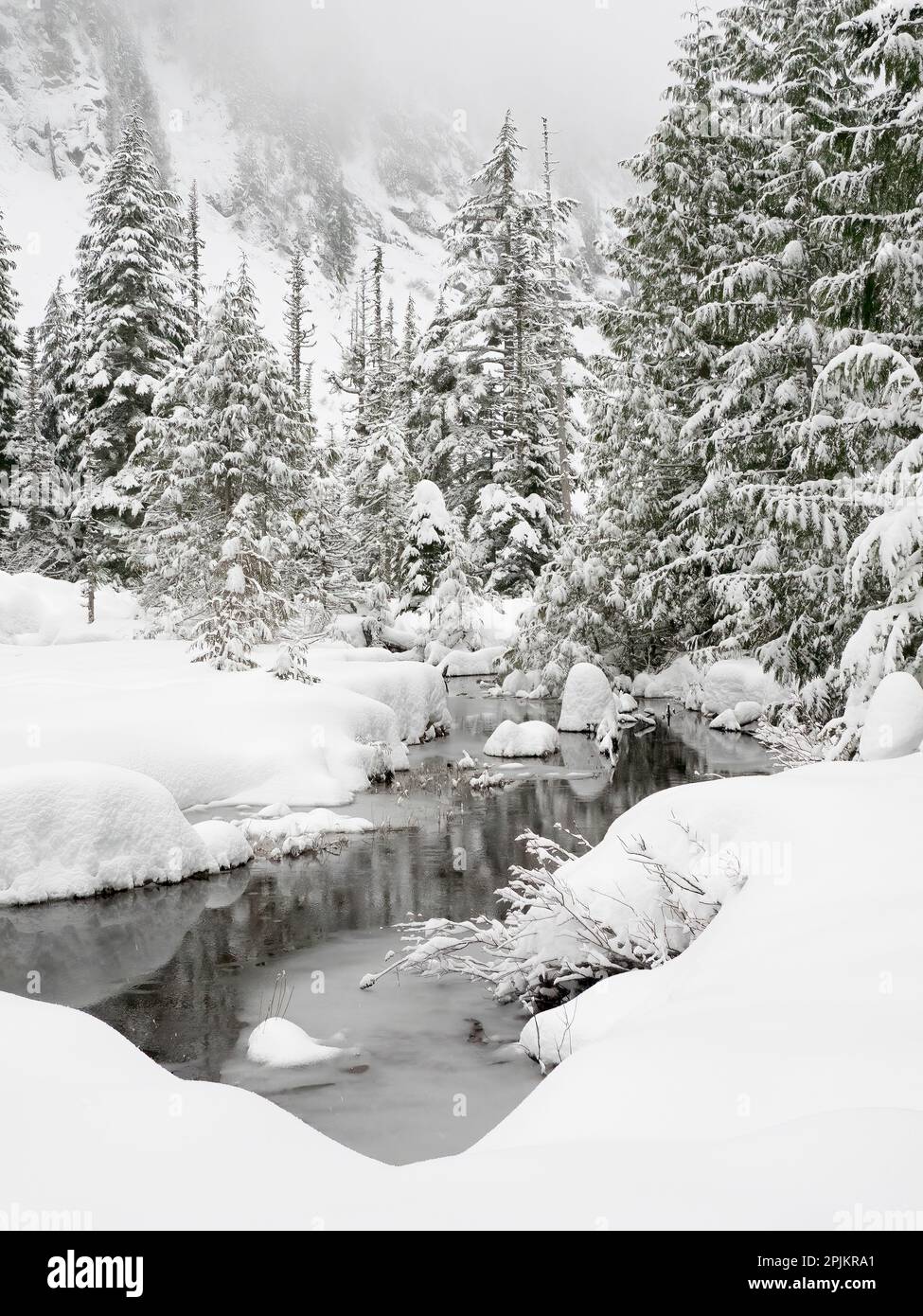 Washington state, Cascades centrale. Scenario invernale di Granite Creek Foto Stock