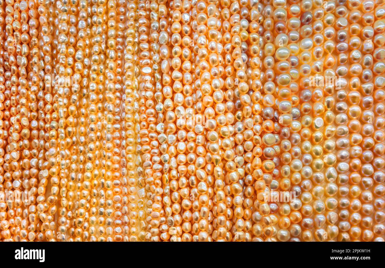 Elegante e lussuosa texture ritagliata primo piano su più collane giapponesi allineate e impilate gioielli fatti di perle dorate lucenti e perle di ostriche Foto Stock