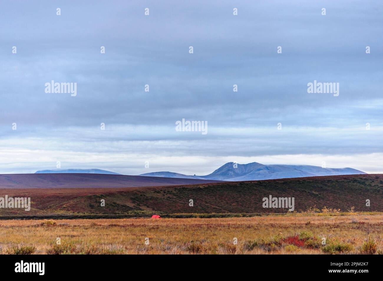 USA, Alaska, riserva nazionale di Noatak. Campeggio sulla tundra artica. Foto Stock