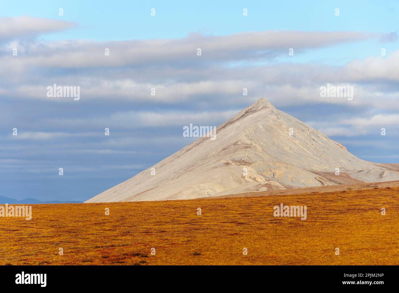 USA, Alaska, Kotzebue, fiume Noatak. Colori autunnali sulla tundra artica vicino al fiume Agashashashashashahok. Foto Stock