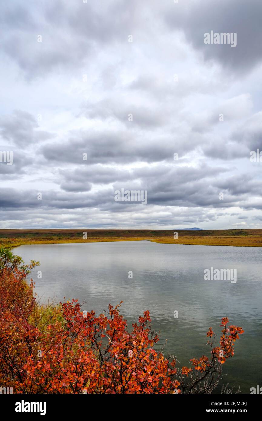 USA, Alaska, riserva nazionale di Noatak, fiume Noatak. Colori autunnali lungo il fiume Noatak. Foto Stock