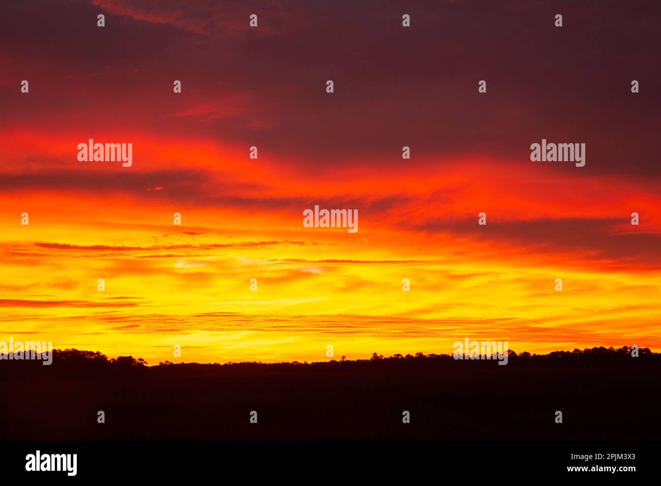 USA, Georgia, Savannah. Alba lungo Grimball Creek. Foto Stock