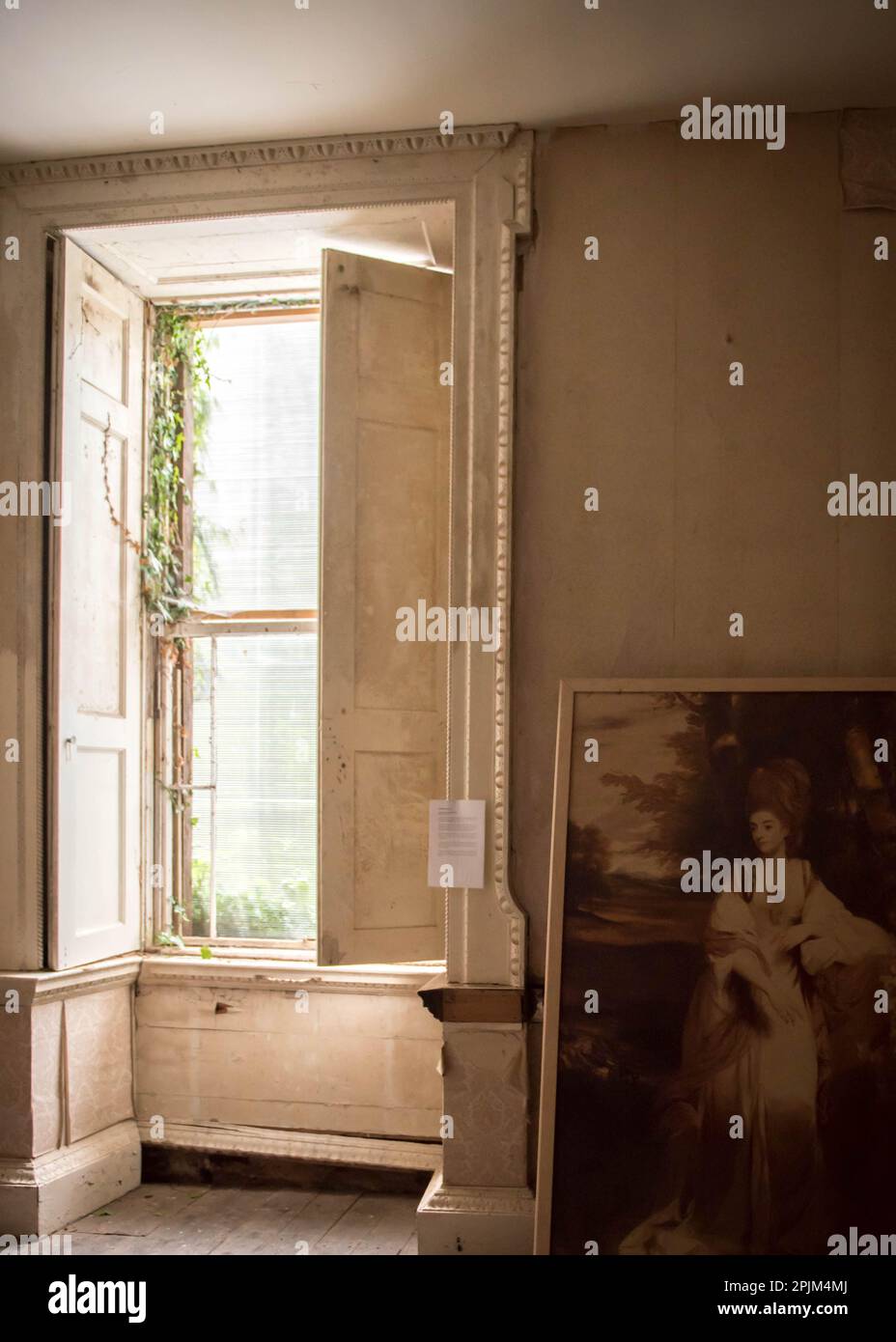 Finestra aperta chiusa che lascia entrare luce del giorno e le erbacce che crescono attraverso il telaio della finestra a Poltimore House, vicino Exeter in Devon, Regno Unito Foto Stock
