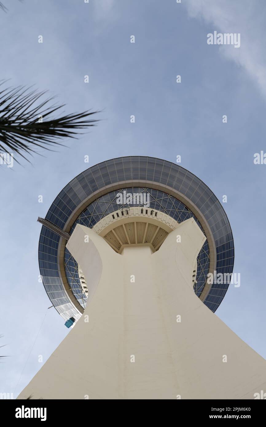 Vista dal basso sulla torre Stratosphere di Las Vegas contro il cielo blu, con un ramo da una palma Foto Stock