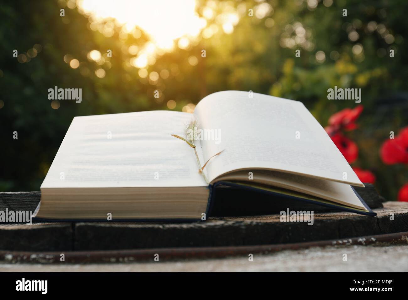 Libro aperto con punta su tavolo di legno all'aperto Foto Stock