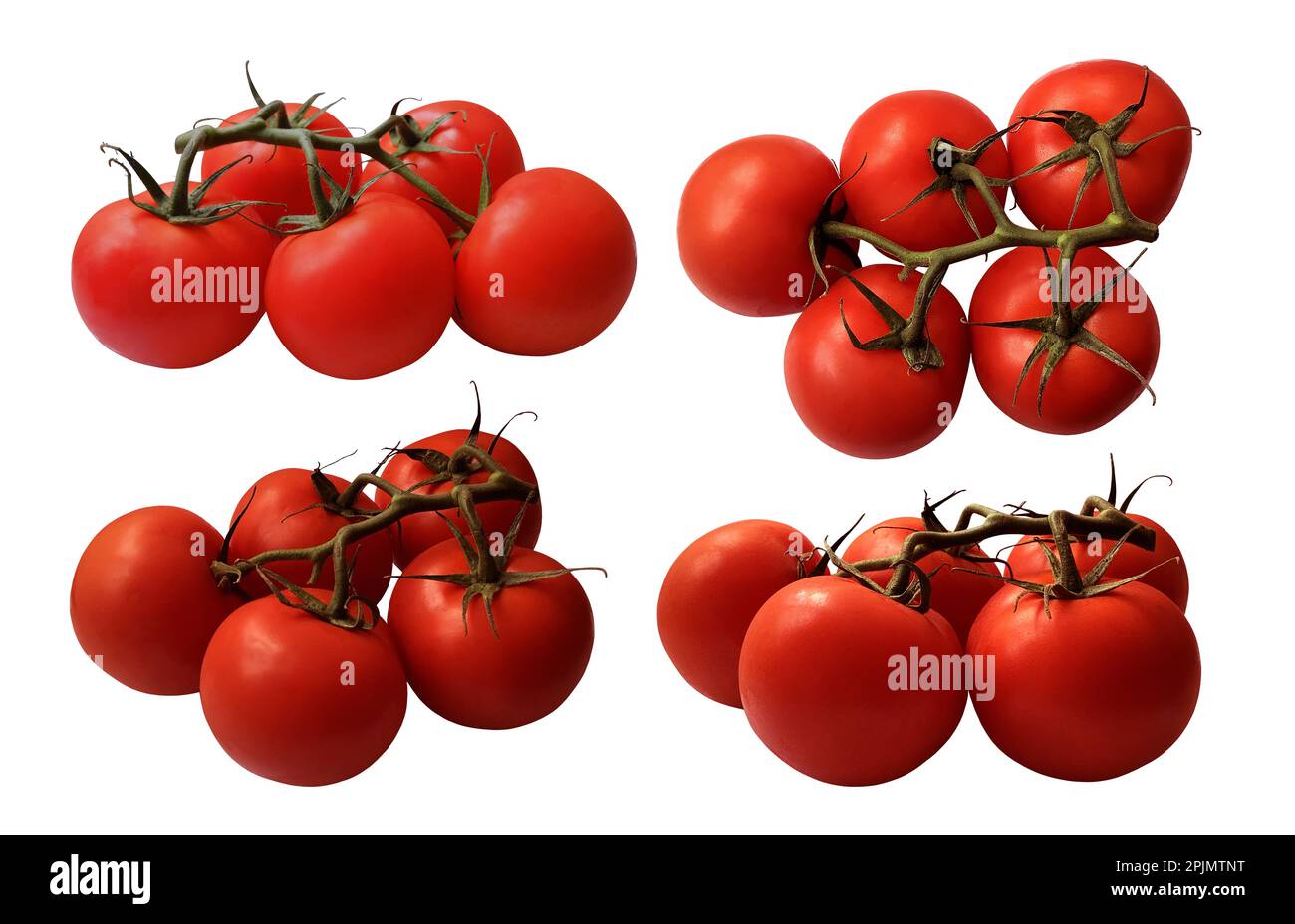 Pomodori rossi maturi rami con gambo verde e foglie, ritagliare oggetto tagliando percorso, vegetale biologico sana dieta concetto Foto Stock