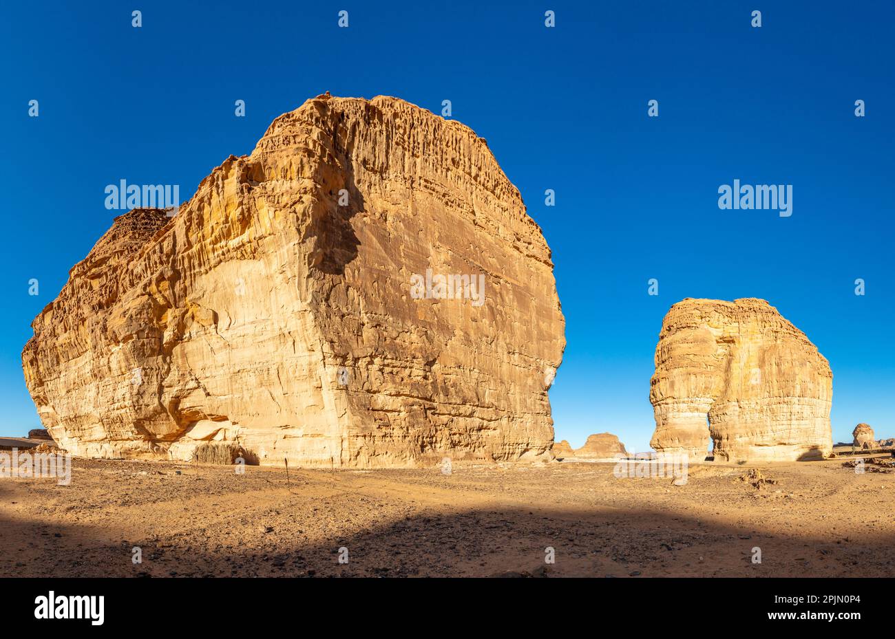 Monolito di erosione di roccia di elefante di arenaria che si erge nel deserto, al Ula, Arabia Saudita Foto Stock