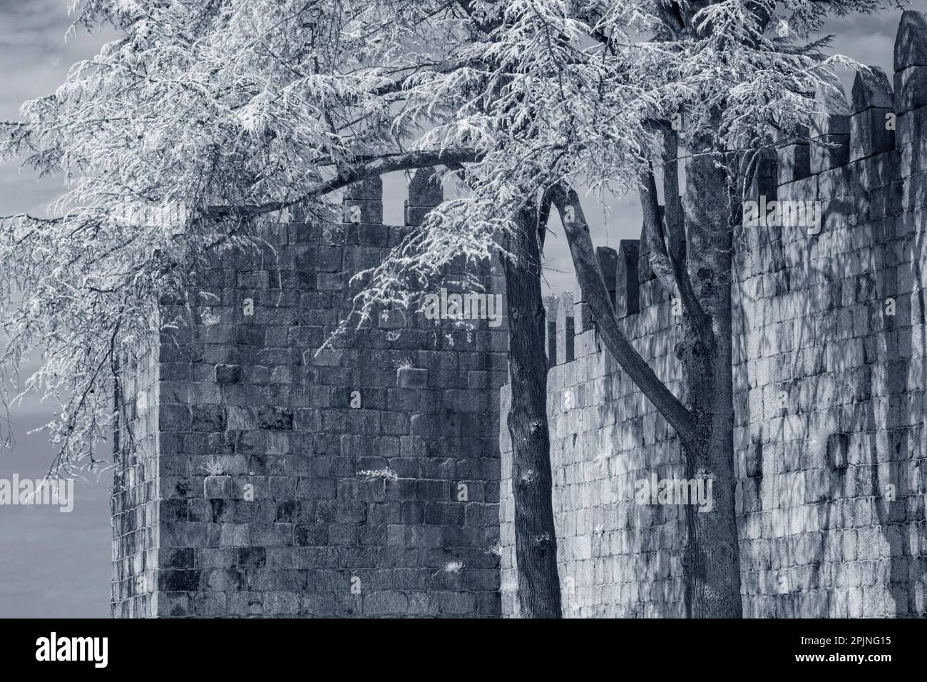 Guimaraes castello dalla nascita del Portogallo, nord del Portogallo. Filtro a infrarossi utilizzato. Foto Stock