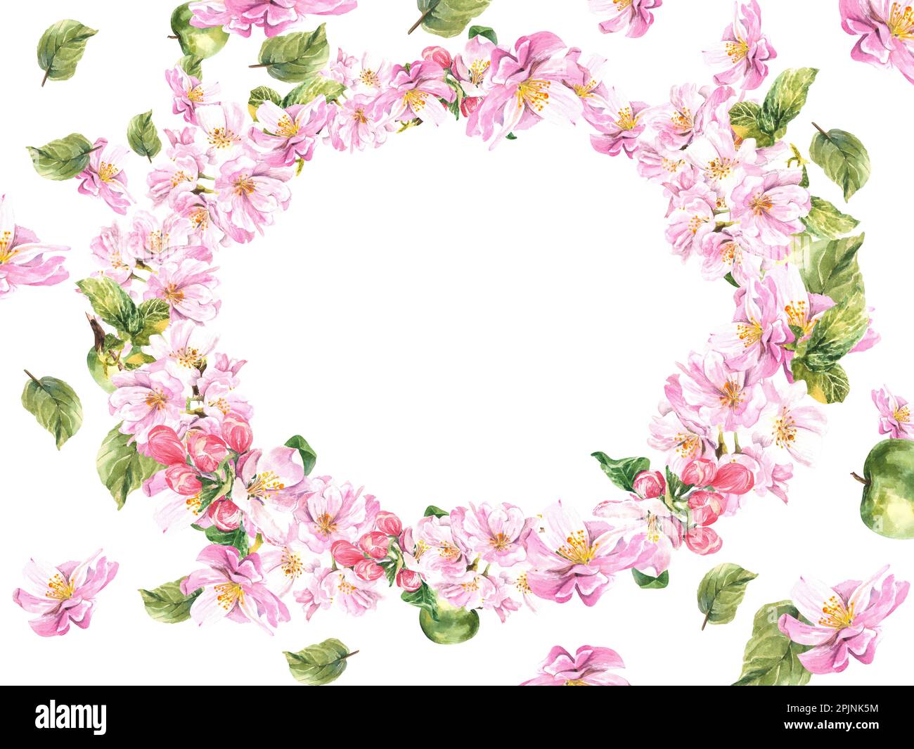 Composizione ovale di un albero di mela fiorito su sfondo bianco. illustrazione acquerello Foto Stock