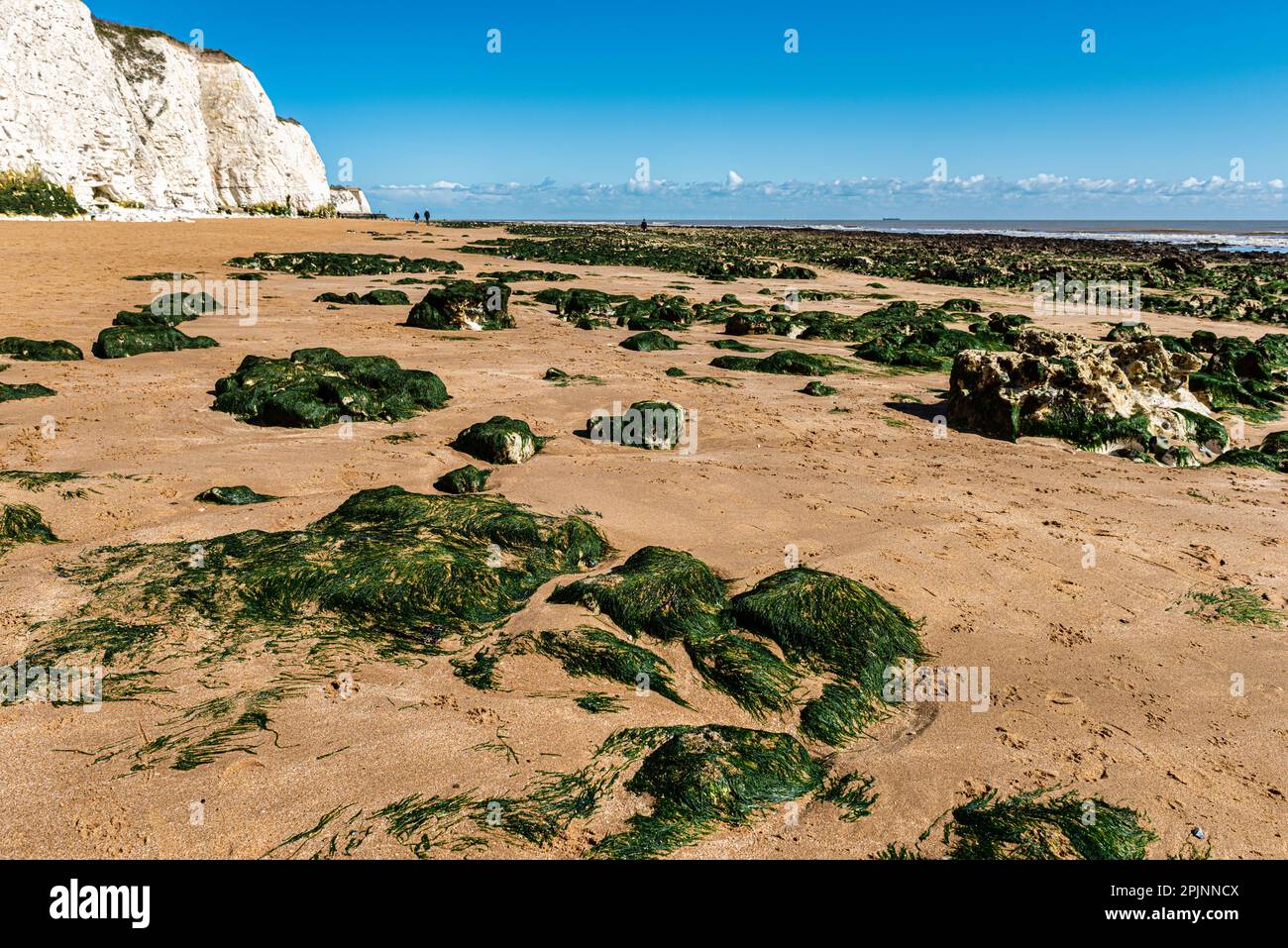 La spiaggia di Dumbton Bay tra Broadstairs e Ramsgate nel Kent, Inghilterra, in una bella giornata di sole primaverile Foto Stock