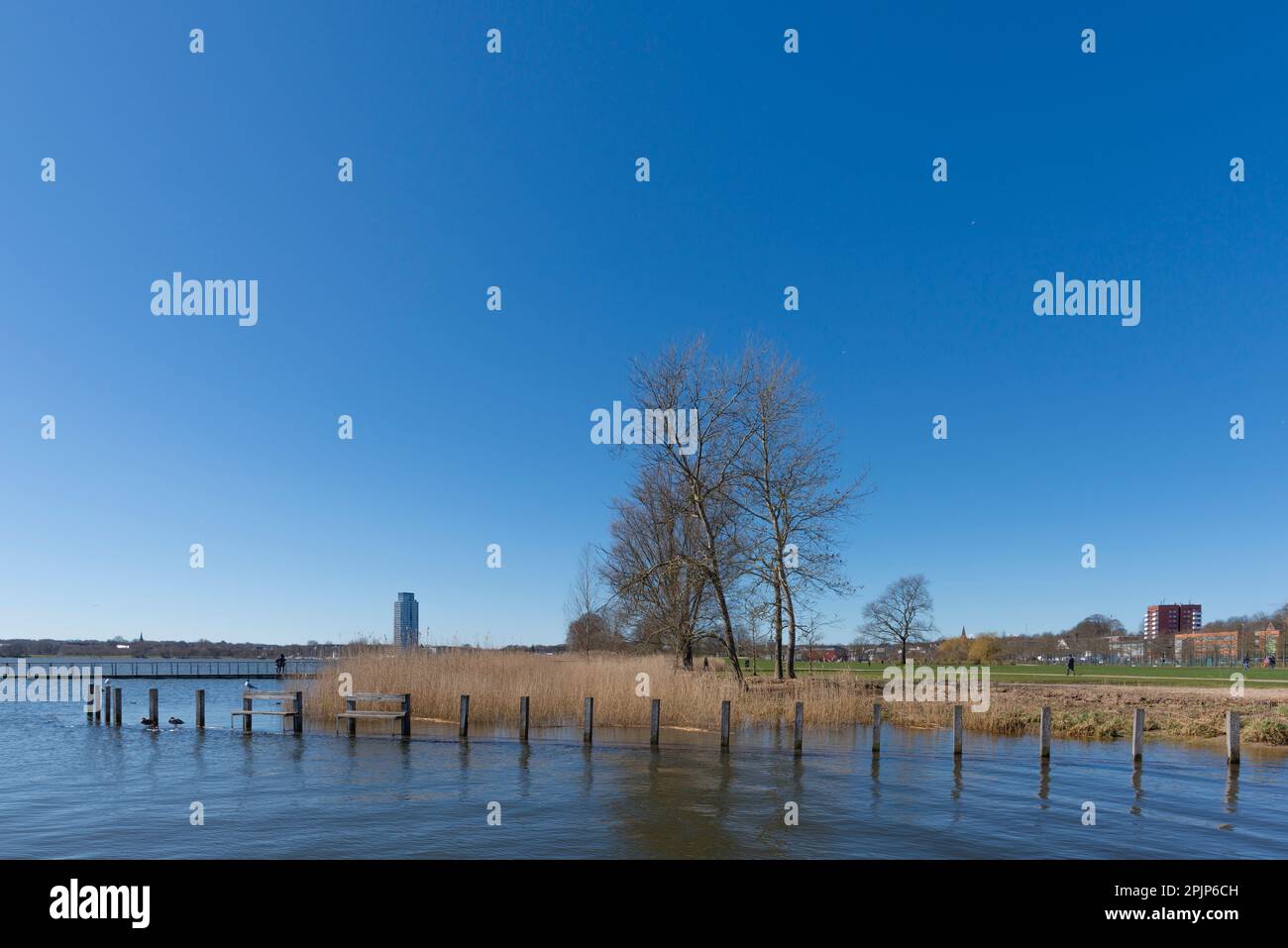 Città dello Schleswig sul fiordo di Schlei, Schleswig-Holstein, Germania settentrionale, Europa centrale Foto Stock