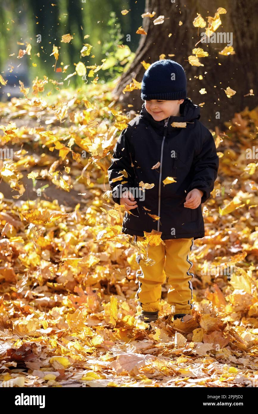 Autunno sorridente ritratto ragazzo in foglie gialle autunnali. Piccolo bambino in cappello di lana, bel bambino nel parco all'aperto, abbigliamento caldo per la stagione di ottobre. Foto Stock