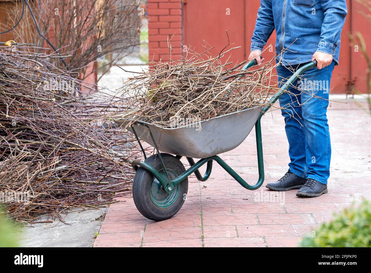 Un giardiniere maschio trasporta i rami tagliati in giardino usando una carriola da giardino durante la pulizia primaverile. Foto Stock