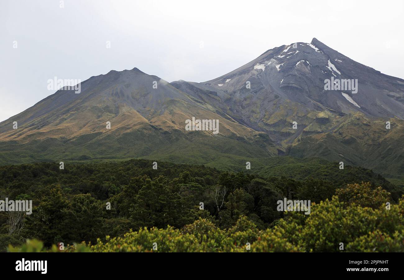 Due crateri del Monte Egmont, Nuova Zelanda Foto Stock