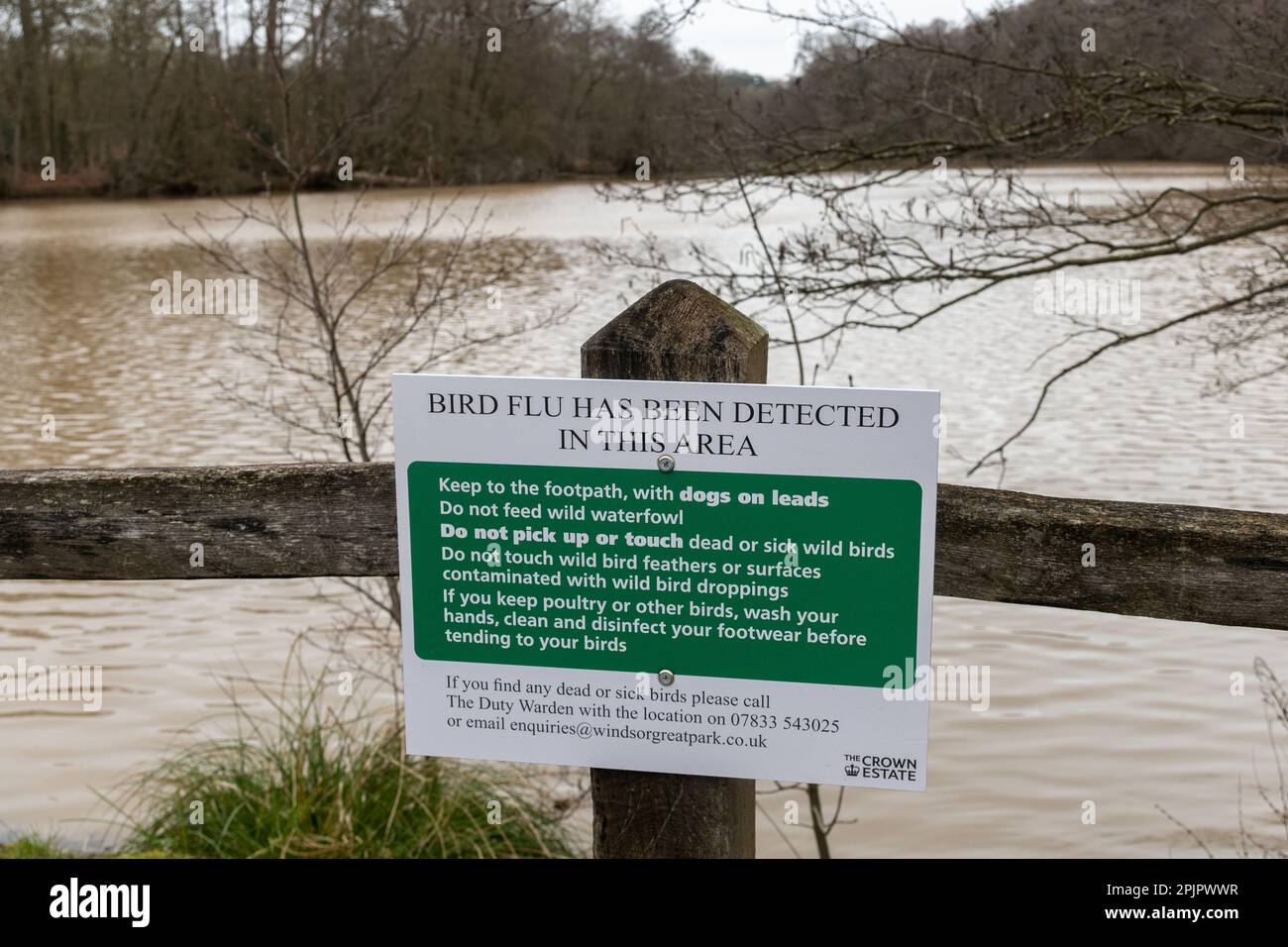 Segno di influenza aviaria, l'influenza aviaria è stato rilevato in questa zona, dal lago d'acqua della Virginia a Windsor Great Park, Crown Estate, Inghilterra, Regno Unito, 2023 Foto Stock