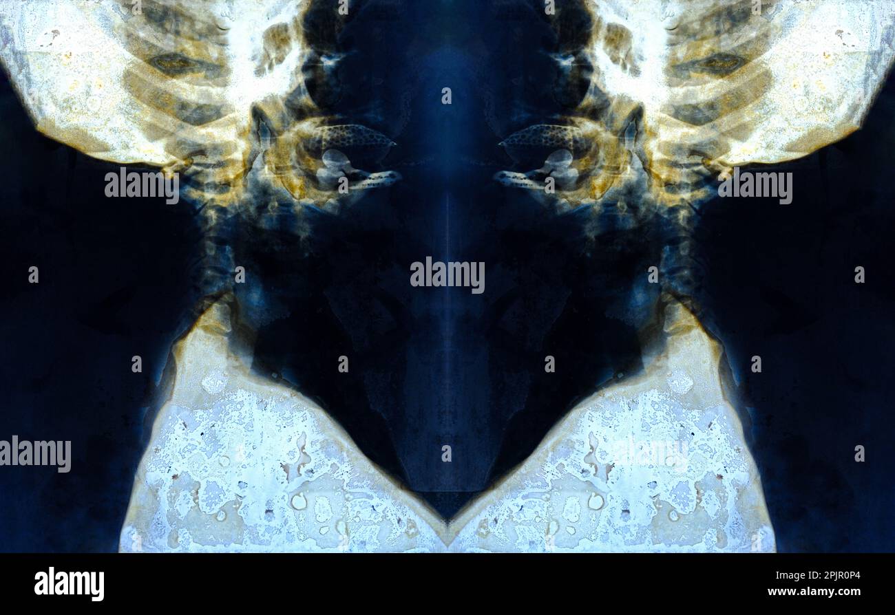 Film x-ray del cranio e della colonna vertebrale cervicale vista laterale Foto Stock