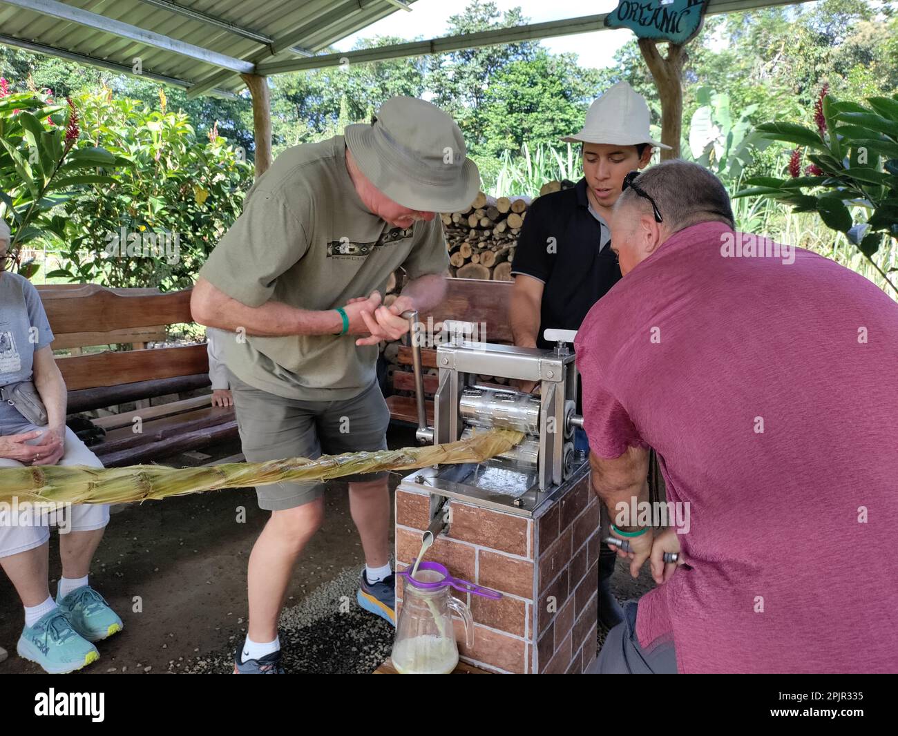 La Fortuna, Costa Rica - Una guida alla Finca educativa Don Juan (Don Juan Educational Farm) aiuta i visitatori a imparare come estrarre il succo dalla canna da zucchero. CR Foto Stock