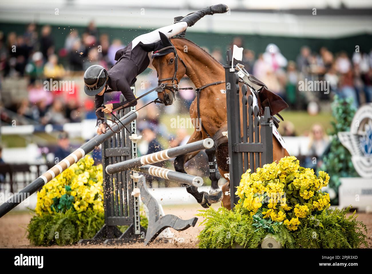 Bliss Heers of the United States sbatte la cima del suo cavallo dopo aver rifiutato un salto durante un evento di salto Major League Show nel 2021. Foto Stock