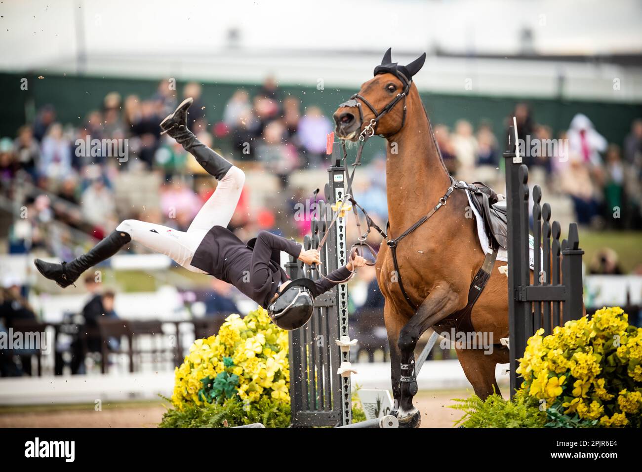 Bliss Heers of the United States sbatte la cima del suo cavallo dopo aver rifiutato un salto durante un evento di salto Major League Show nel 2021. Foto Stock